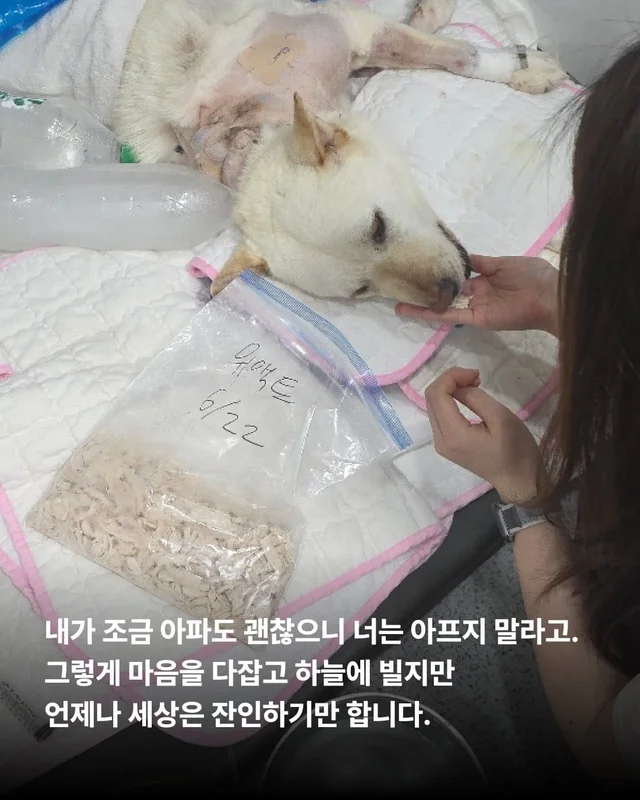 반짝이는 눈, 움직이지 못하는 몸 현장 사진