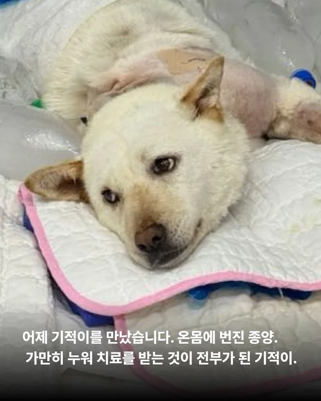 반짝이는 눈, 움직이지 못하는 몸 현장 사진
