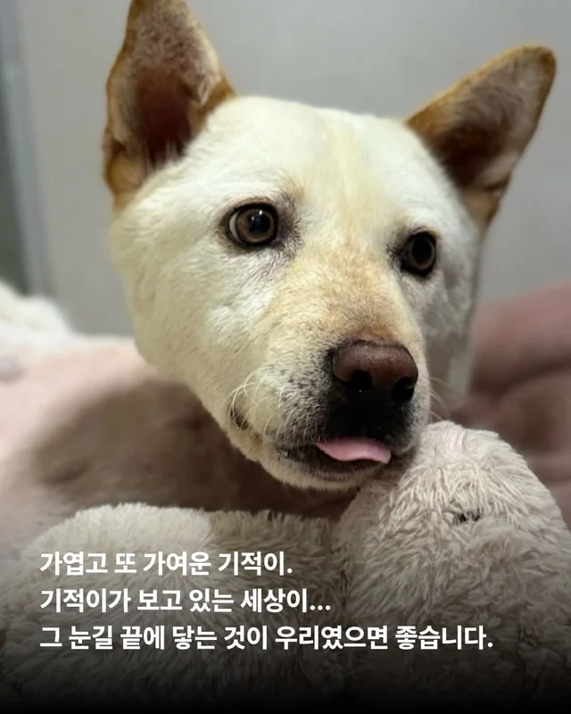 반짝이는 눈, 움직이지 못하는 몸 현장 사진