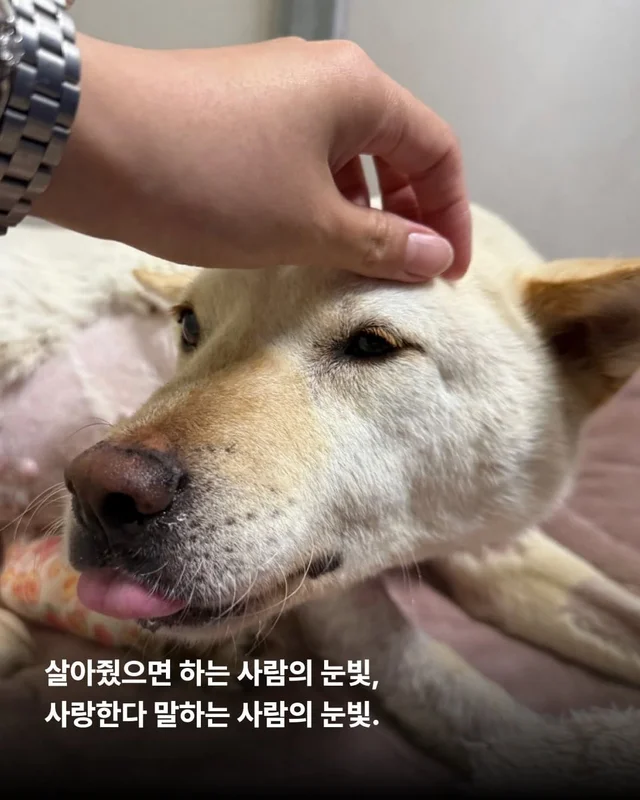 반짝이는 눈, 움직이지 못하는 몸 현장 사진