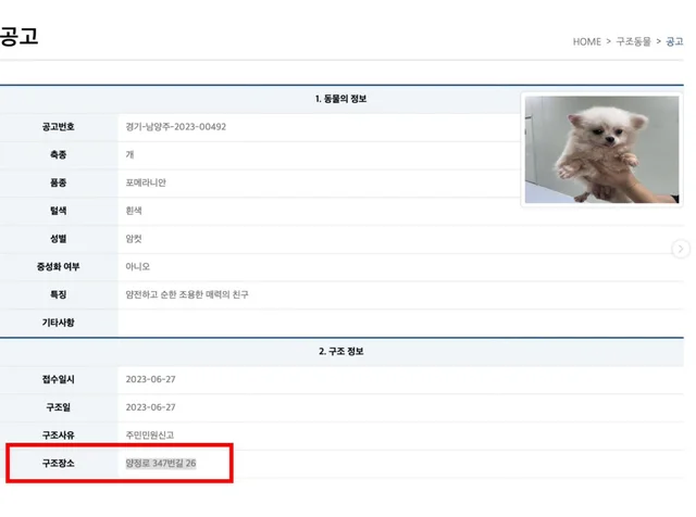 죽은개와사라진개들_3 현장 사진