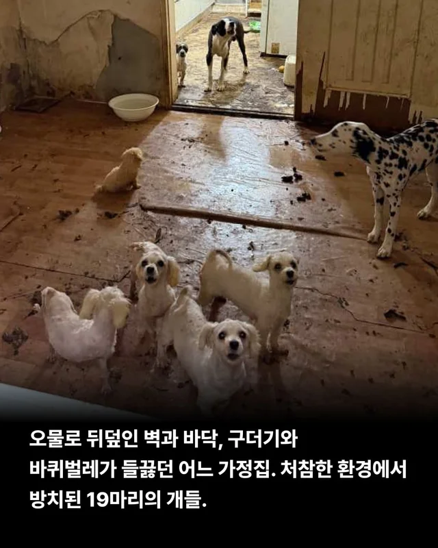 위태로운 생명을 구해낼 힘 현장 사진