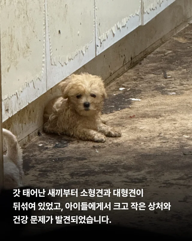 위태로운 생명을 구해낼 힘 현장 사진