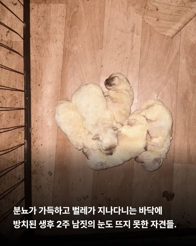 위태로운 생명을 구해낼 힘 현장 사진