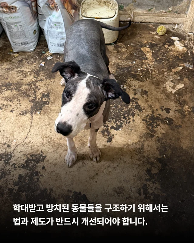 위태로운 생명을 구해낼 힘 현장 사진