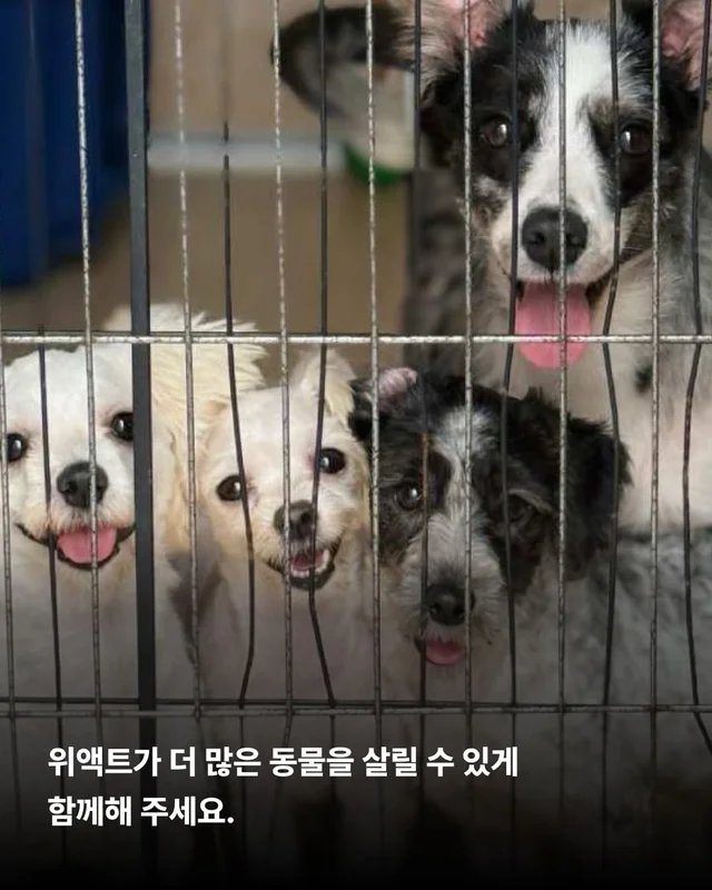 위태로운 생명을 구해낼 힘 현장 사진