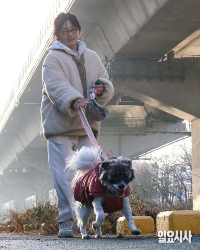 구조견 입양으로 다시 찾은 행복 보도 사진