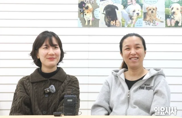 구조견 입양으로 다시 찾은 행복 보도 사진