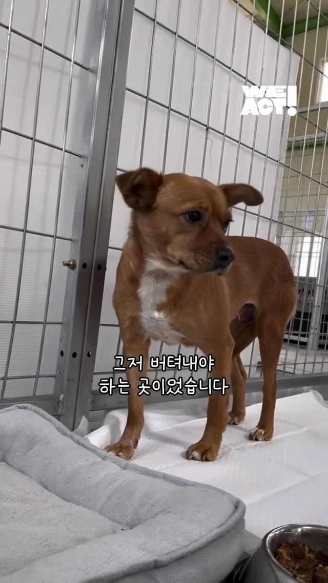 절대 일어나지 않을 것 같던 일이 이루어진 적 있나요.. 현장 사진