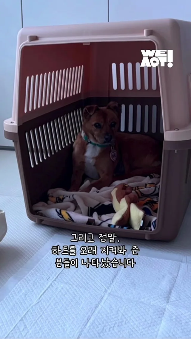 절대 일어나지 않을 것 같던 일이 이루어진 적 있나요.. 현장 사진