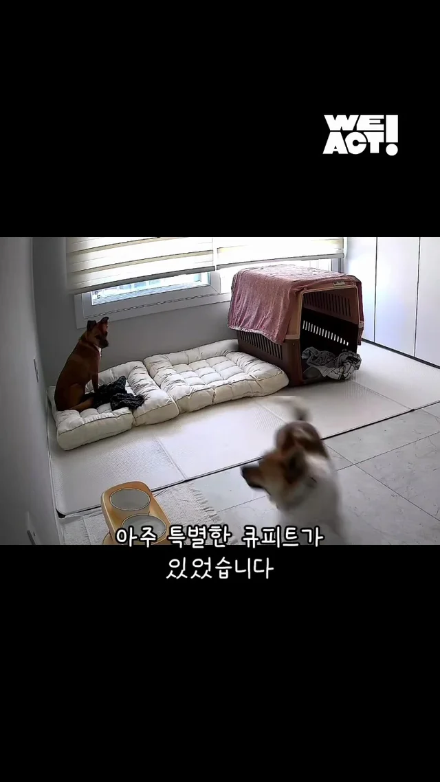 절대 일어나지 않을 것 같던 일이 이루어진 적 있나요.. 현장 사진