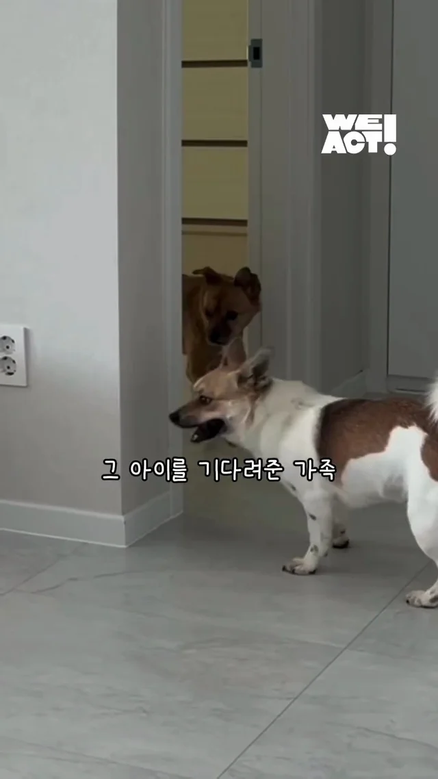 절대 일어나지 않을 것 같던 일이 이루어진 적 있나요.. 현장 사진