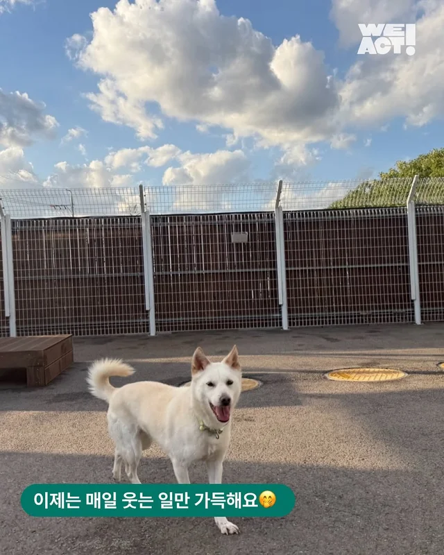 화성팔탄개농장 - 위액트 알 현장 사진