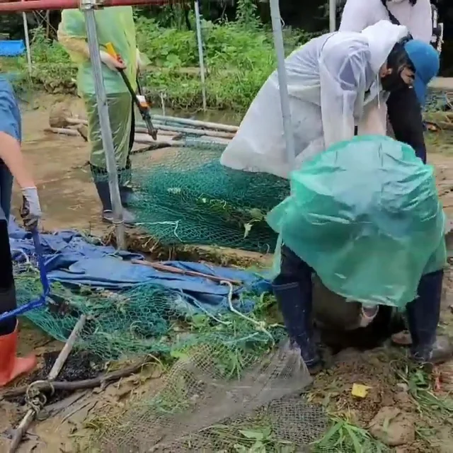구미개농장_2 현장 사진