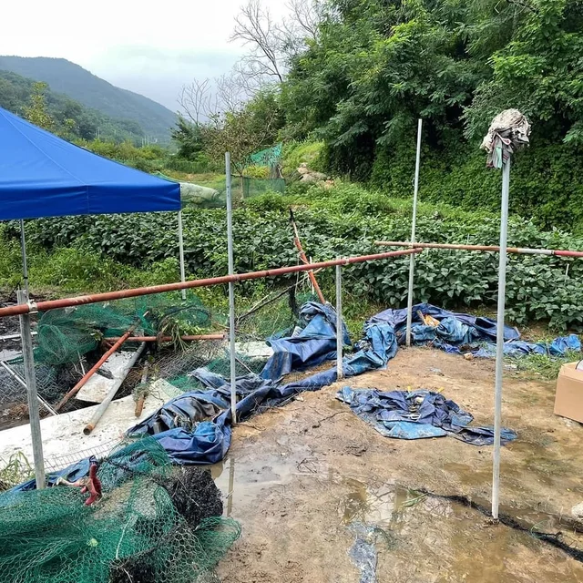 구미개농장_2 현장 사진