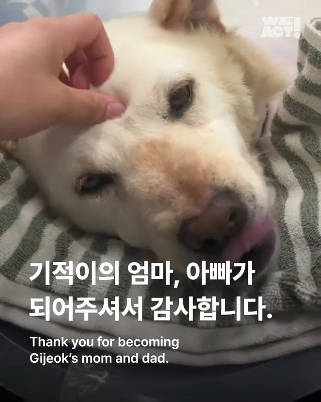 기적이의 엄마아빠가 되어주셔서 감사합니다 현장 사진