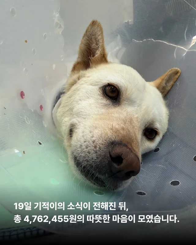 기적이의 엄마아빠가 되어주셔서 감사합니다 현장 사진