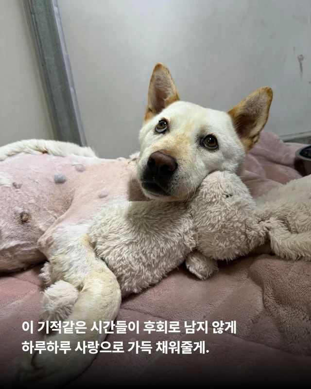 기적이의 엄마아빠가 되어주셔서 감사합니다 현장 사진