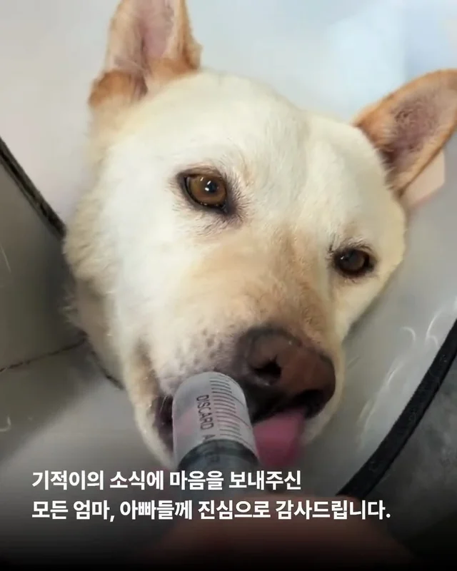 기적이의 엄마아빠가 되어주셔서 감사합니다 현장 사진