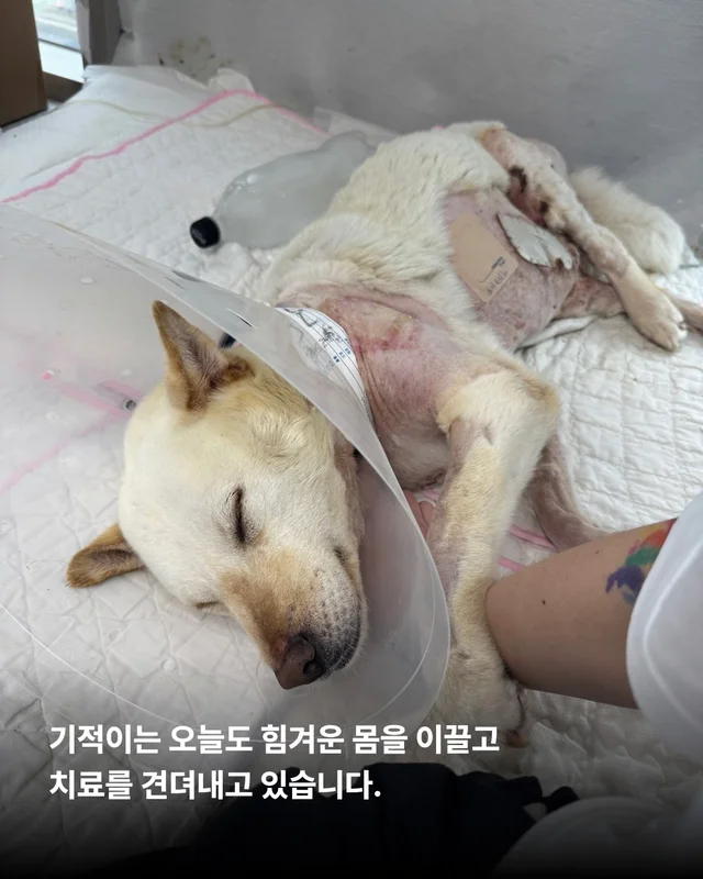 기적이의 엄마아빠가 되어주셔서 감사합니다 현장 사진