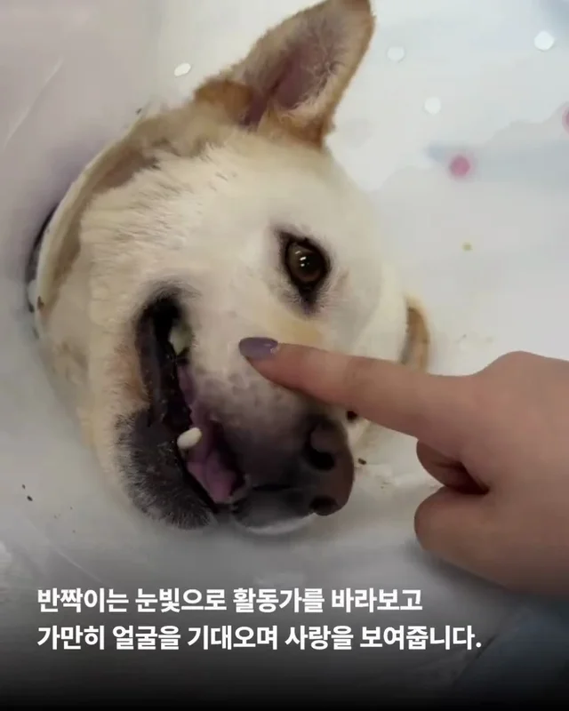 기적이의 엄마아빠가 되어주셔서 감사합니다 현장 사진