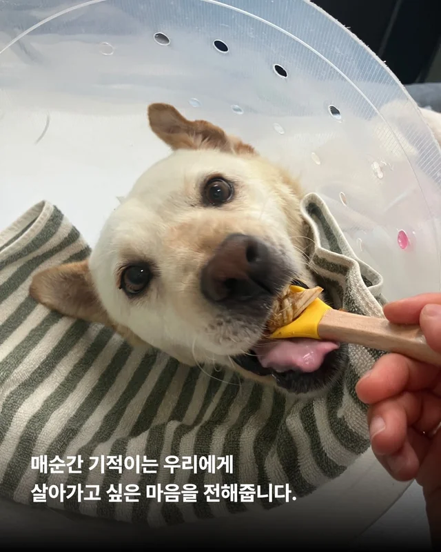 기적이의 엄마아빠가 되어주셔서 감사합니다 현장 사진