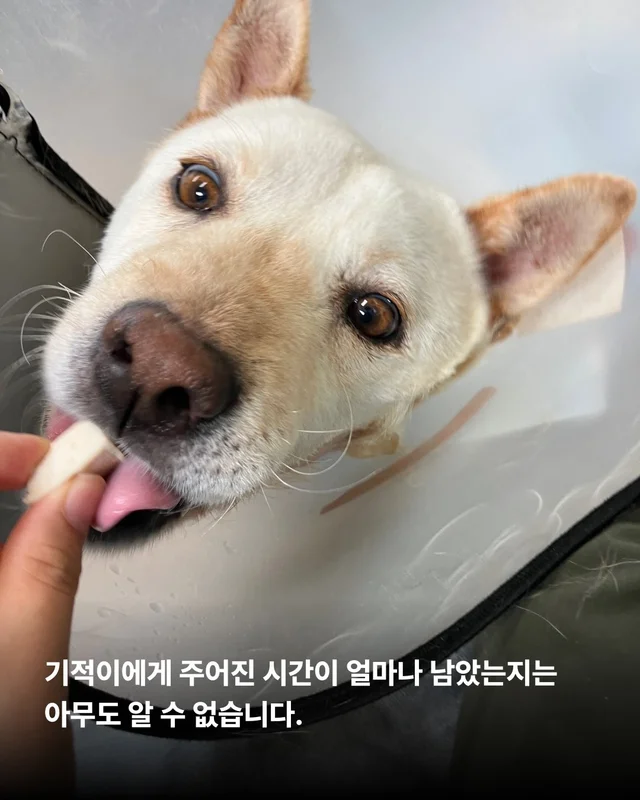 기적이의 엄마아빠가 되어주셔서 감사합니다 현장 사진