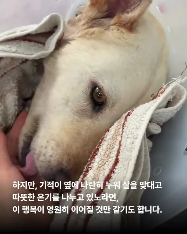 기적이의 엄마아빠가 되어주셔서 감사합니다 현장 사진