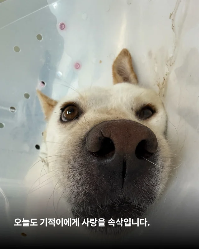 기적이의 엄마아빠가 되어주셔서 감사합니다 현장 사진