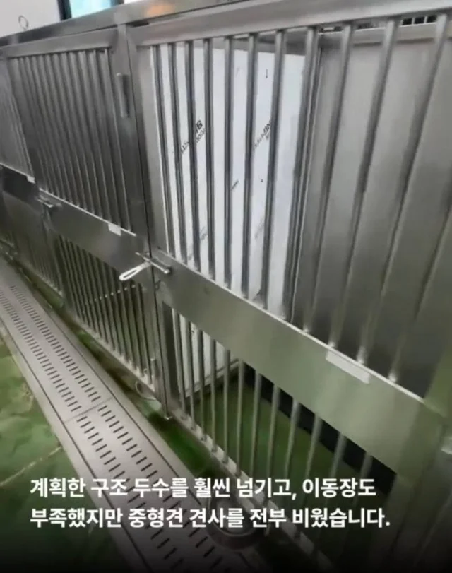 안락사를 막았습니다. 현장 사진