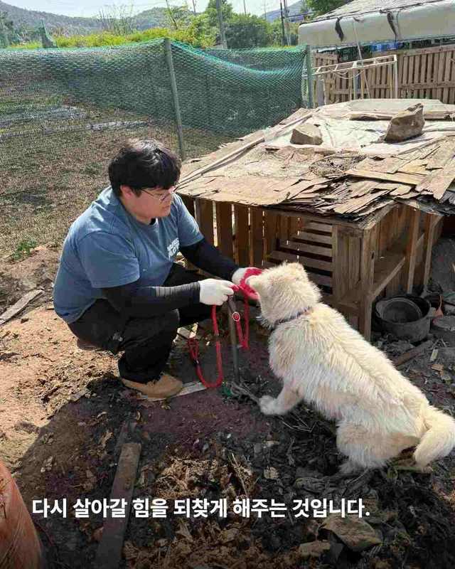 초복, 우리가 믿는 진짜 보양의 의미 현장 사진
