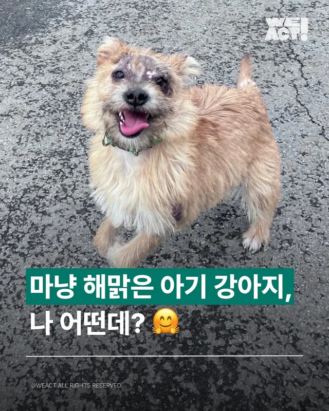경북산불구조-위액트아라 현장 사진