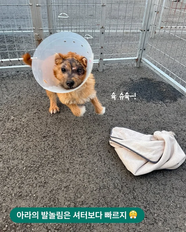 경북산불구조-위액트아라 현장 사진
