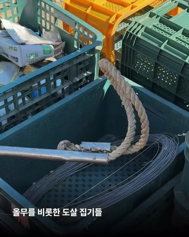 우리집 옆 도살장 현장 사진