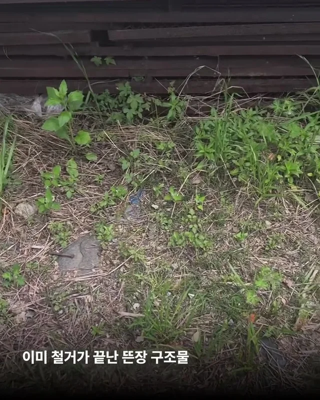 우리집 옆 도살장 현장 사진