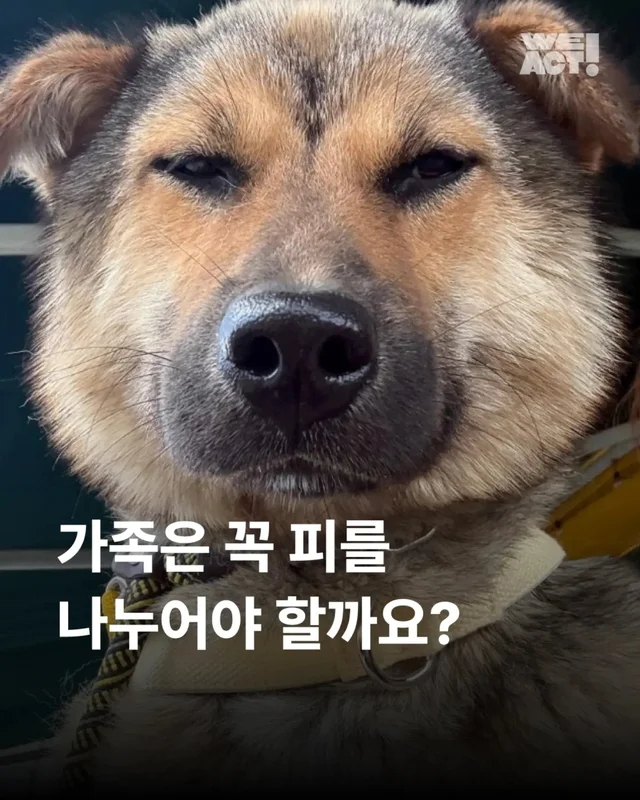 가족은 꼭 피를 나누어야 할까요? 현장 사진