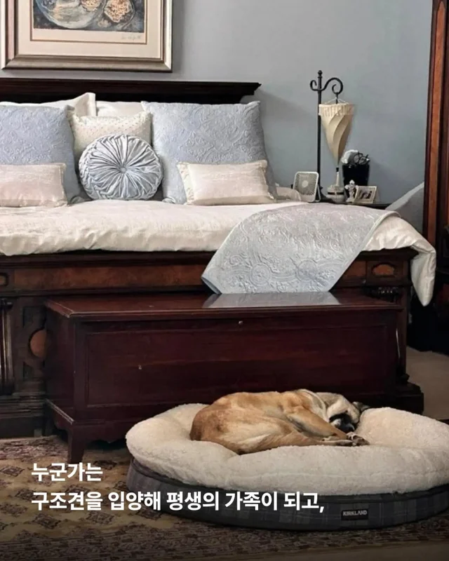 가족은 꼭 피를 나누어야 할까요? 현장 사진
