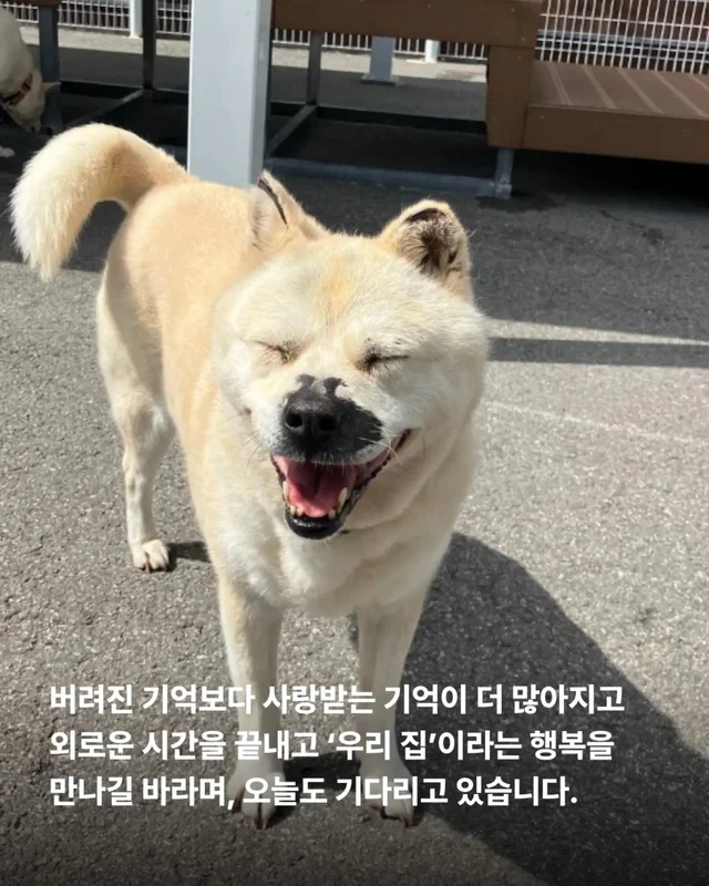 가족은 꼭 피를 나누어야 할까요? 현장 사진