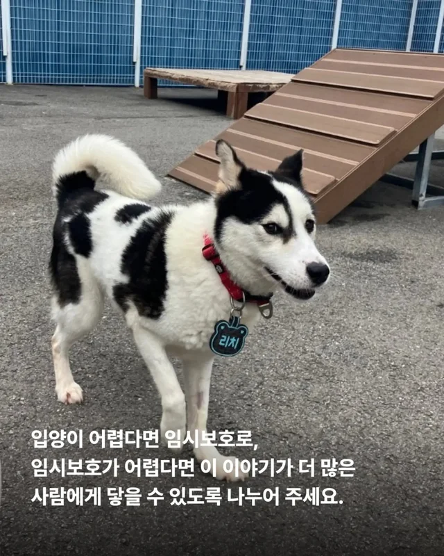 가족은 꼭 피를 나누어야 할까요? 현장 사진
