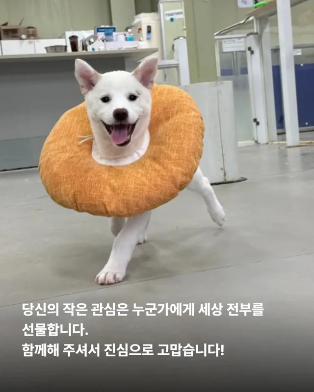 가족은 꼭 피를 나누어야 할까요? 현장 사진
