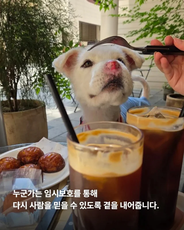 가족은 꼭 피를 나누어야 할까요? 현장 사진