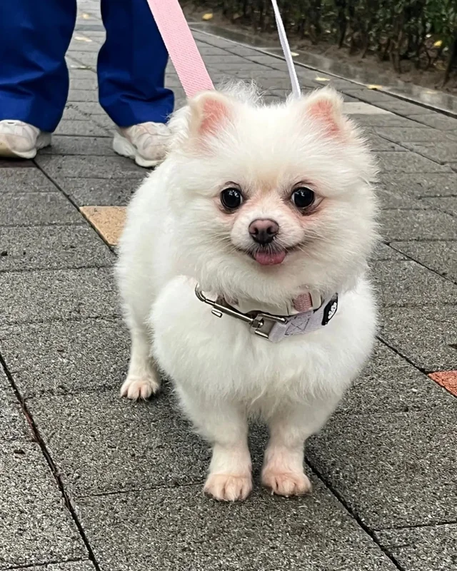 가족은 꼭 피를 나누어야 할까요? 현장 사진