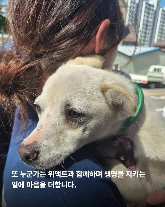 가족은 꼭 피를 나누어야 할까요? 현장 사진