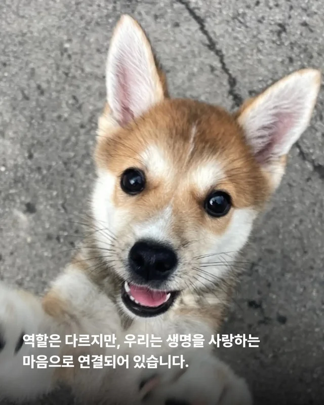가족은 꼭 피를 나누어야 할까요? 현장 사진