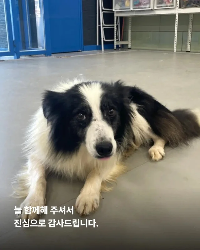 가족은 꼭 피를 나누어야 할까요? 현장 사진