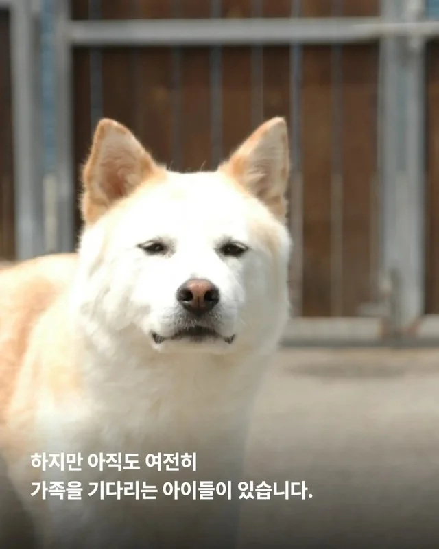가족은 꼭 피를 나누어야 할까요? 현장 사진
