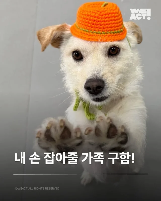 위액트 티로 현장 사진