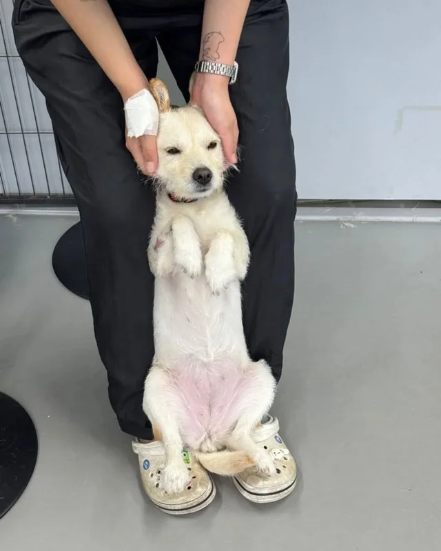 위액트 티로 현장 사진