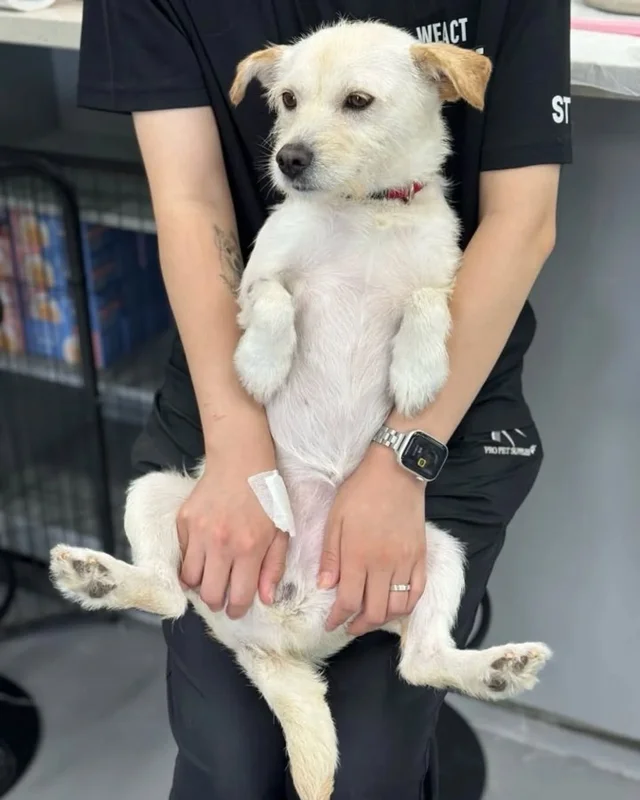위액트 티로 현장 사진