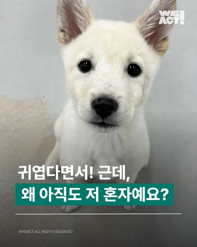 위액트 밀키, 위액트 토프 현장 사진